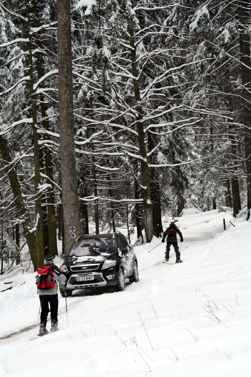 Ford Kuga si schiorii mirati